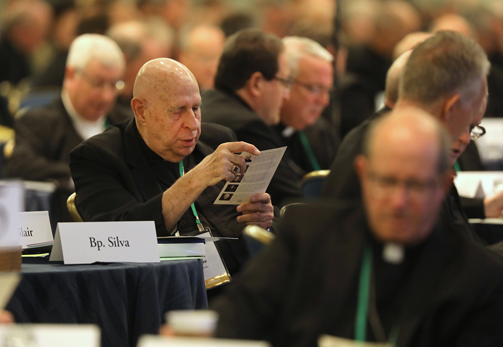 US Bishops' Meeting Is A Big Snooze | National Catholic Reporter